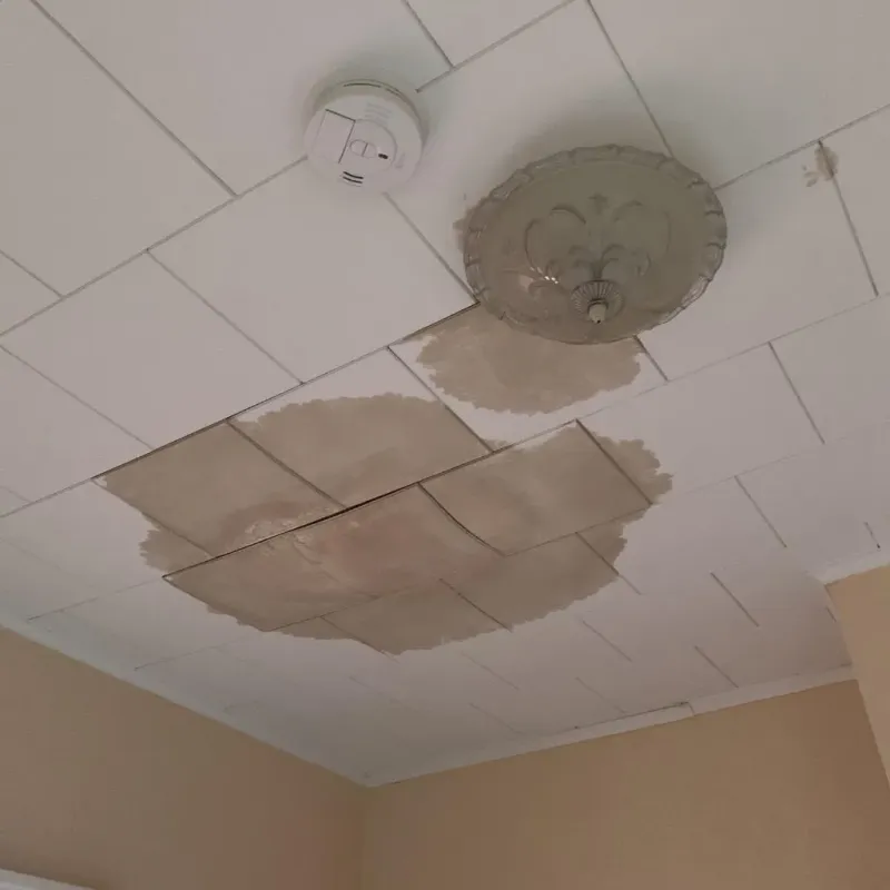 Ceiling Water Damage Repair in Amherst, OH