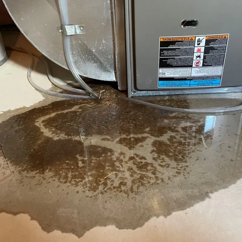 Pipe Burst and Leak Restoration in Amherst, OH
