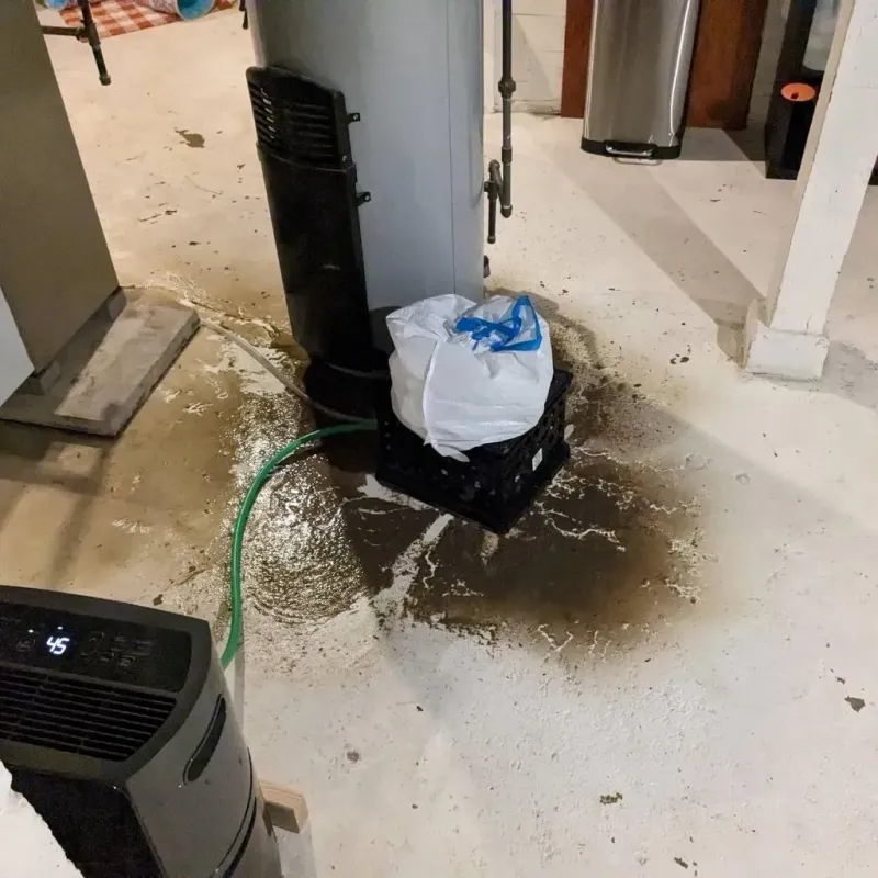 Sewage Backup Cleanup Service in Amherst, OH
